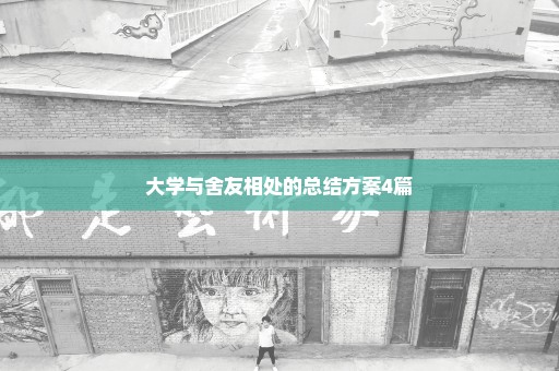大学与舍友相处的总结方案4篇