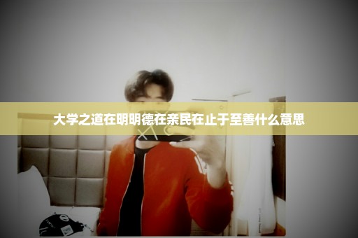 大学之道在明明德在亲民在止于至善什么意思