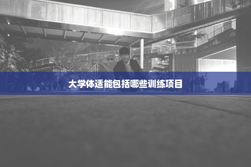 大学体适能包括哪些训练项目