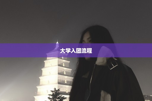 大学入团流程
