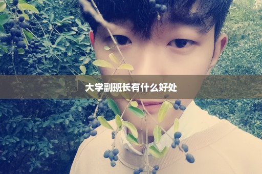 大学副班长有什么好处