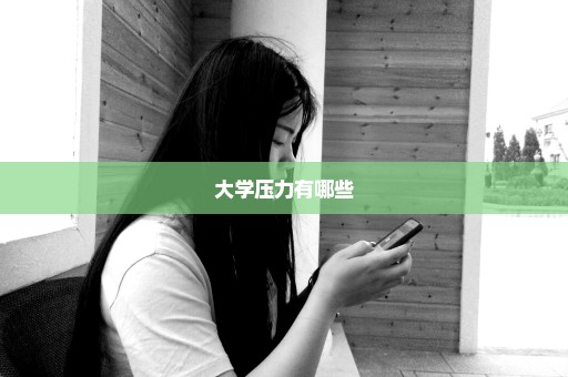 大学压力有哪些