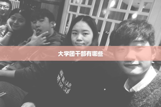 大学团干部有哪些