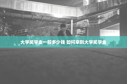 大学奖学金一般多少钱 如何拿到大学奖学金