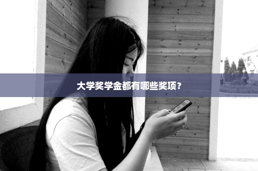 大学奖学金都有哪些奖项？