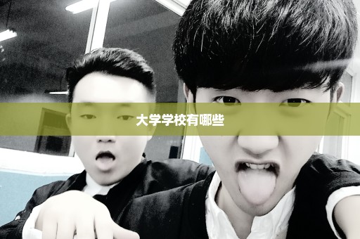 大学学校有哪些