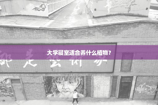 大学寝室适合养什么植物？