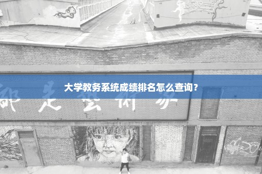 大学教务系统成绩排名怎么查询？