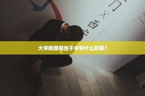 大学教授相当于中学什么职称？