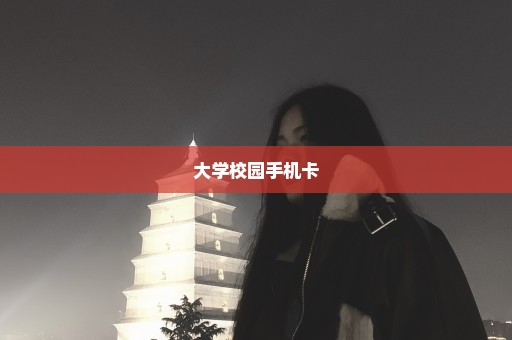 大学校园手机卡