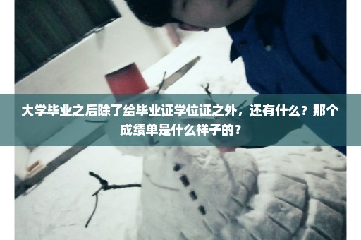 大学毕业之后除了给毕业证学位证之外，还有什么？那个成绩单是什么样子的？