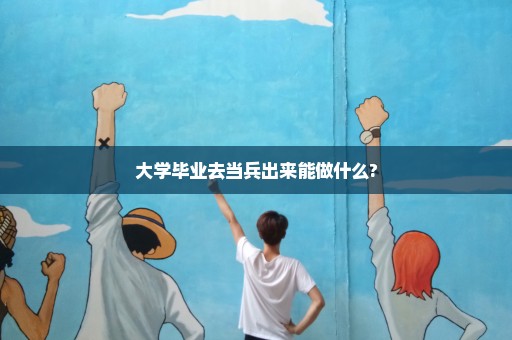 大学毕业去当兵出来能做什么?
