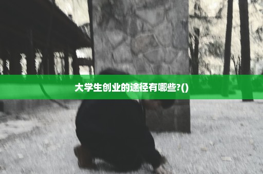 大学生创业的途径有哪些?()