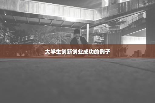 大学生创新创业成功的例子