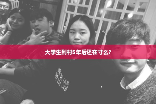 大学生到村5年后还在寸么?
