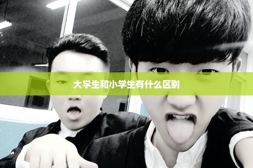 大学生和小学生有什么区别