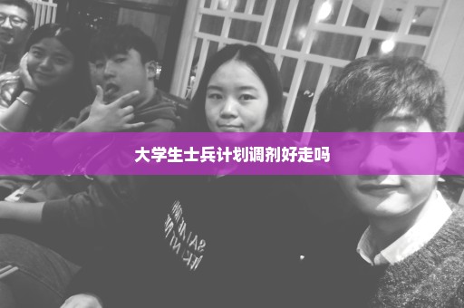 大学生士兵计划调剂好走吗
