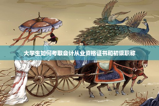 大学生如何考取会计从业资格证书和初级职称