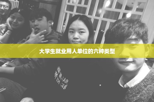 大学生就业用人单位的六种类型