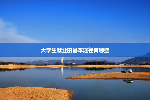 大学生就业的基本途径有哪些