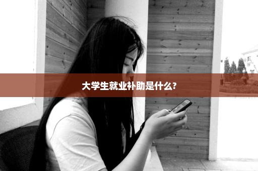 大学生就业补助是什么?