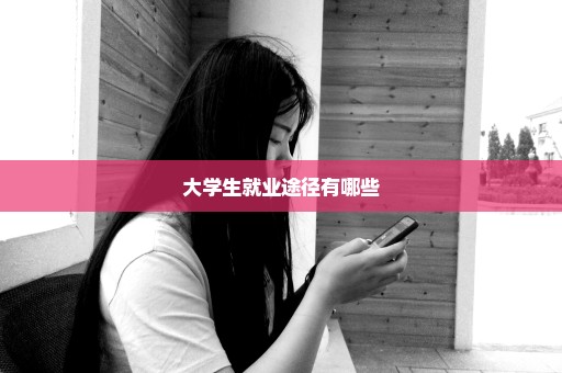 大学生就业途径有哪些