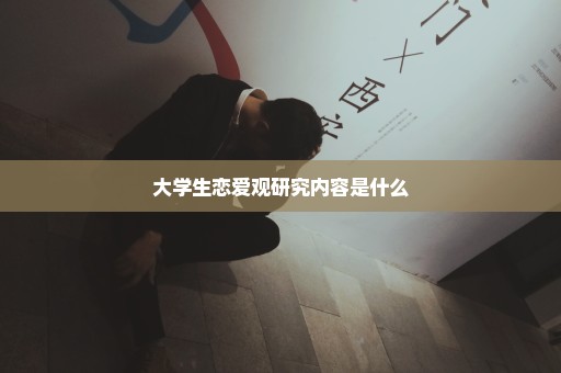 大学生恋爱观研究内容是什么