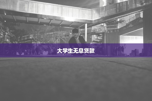 大学生无息贷款