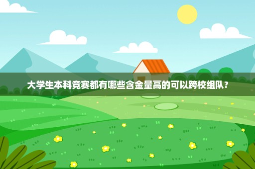 大学生本科竞赛都有哪些含金量高的可以跨校组队?