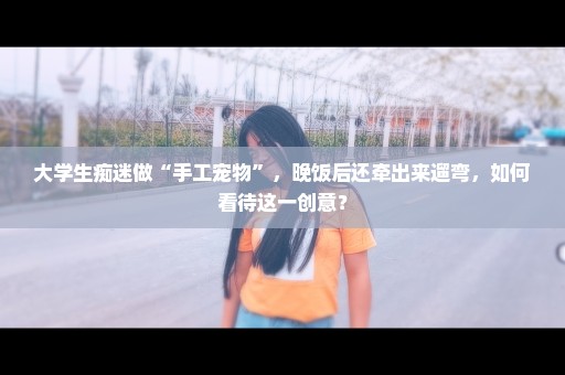 大学生痴迷做“手工宠物”，晚饭后还牵出来遛弯，如何看待这一创意？