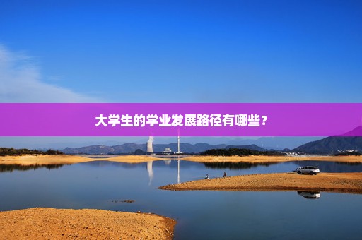 大学生的学业发展路径有哪些？