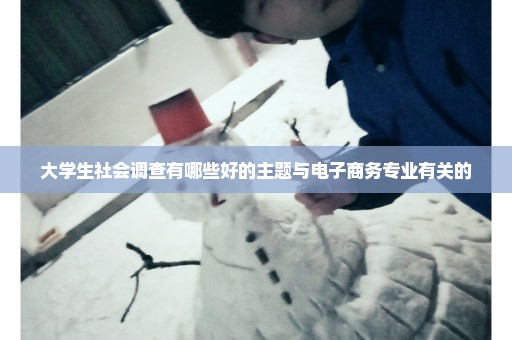 大学生社会调查有哪些好的主题与电子商务专业有关的