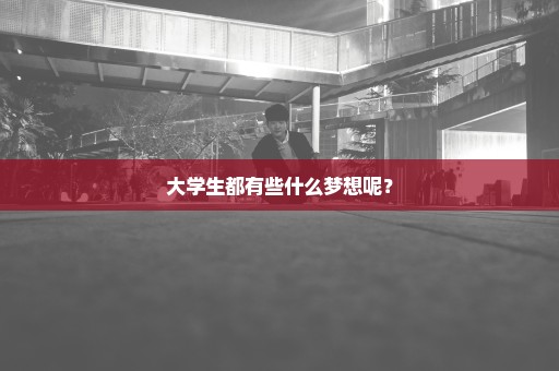 大学生都有些什么梦想呢？