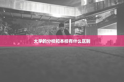 大学的分校和本校有什么区别