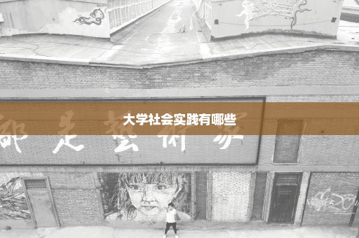 大学社会实践有哪些