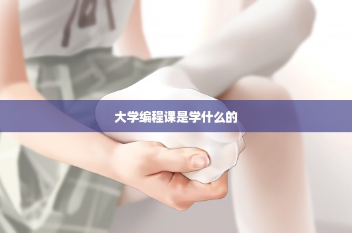 大学编程课是学什么的