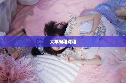 大学编程课程