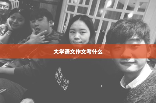 大学语文作文考什么