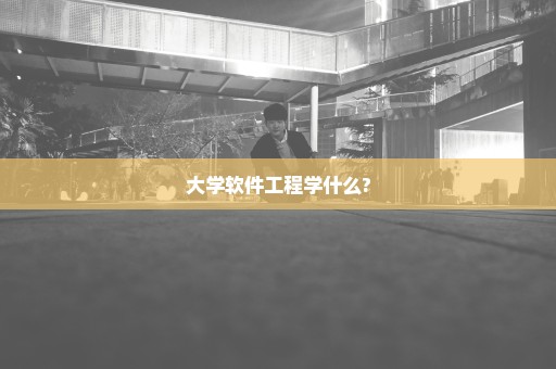 大学软件工程学什么?