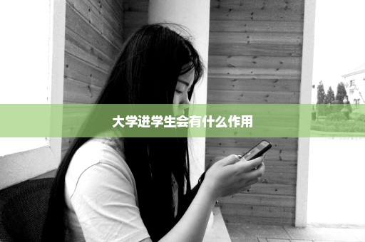 大学进学生会有什么作用