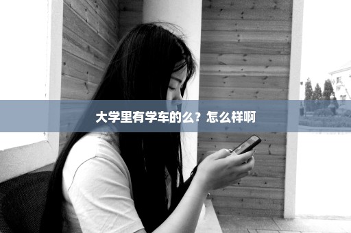 大学里有学车的么？怎么样啊