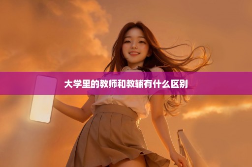 大学里的教师和教辅有什么区别