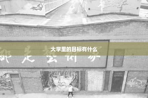 大学里的目标有什么