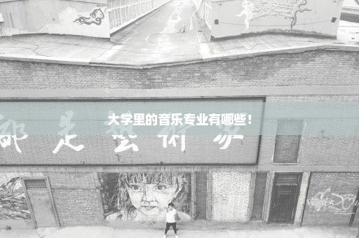 大学里的音乐专业有哪些！
