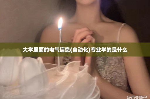 大学里面的电气信息(自动化)专业学的是什么