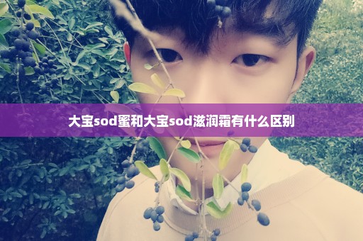 大宝sod蜜和大宝sod滋润霜有什么区别