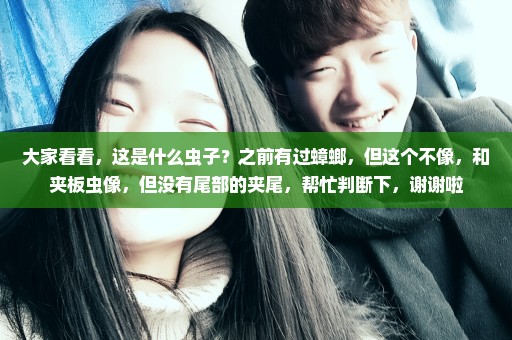 大家看看，这是什么虫子？之前有过蟑螂，但这个不像，和夹板虫像，但没有尾部的夹尾，帮忙判断下，谢谢啦