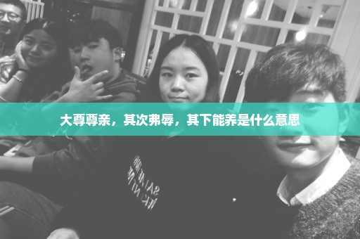 大尊尊亲，其次弗辱，其下能养是什么意思