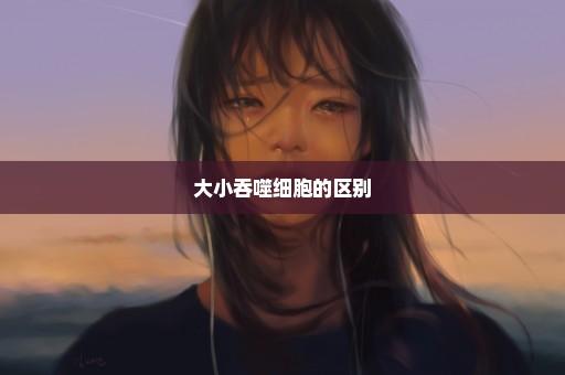 大小吞噬细胞的区别