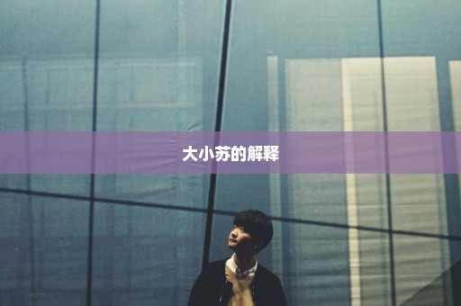 大小苏的解释